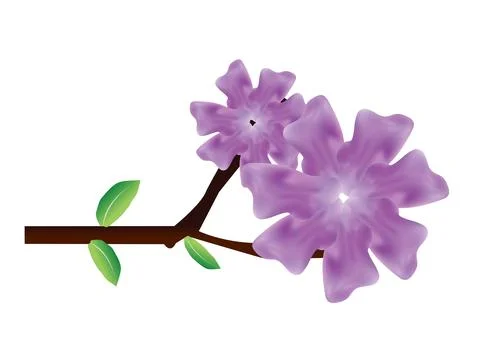 This is banaba flower vector design Stock Illustration