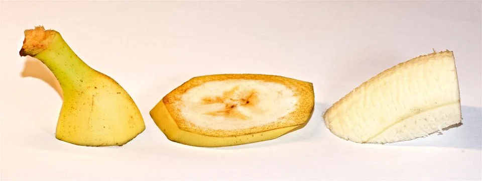 Stock Photos by Photonsinaction | Official Pond5 Storefront