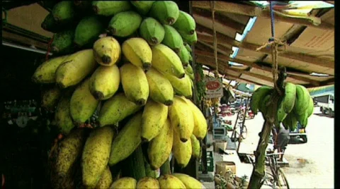 Banana and mango 動画素材 377998
