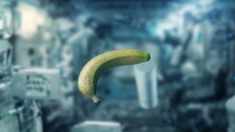 Banana And Objects Floating Inside Space Shuttle Stock Footage 107005450