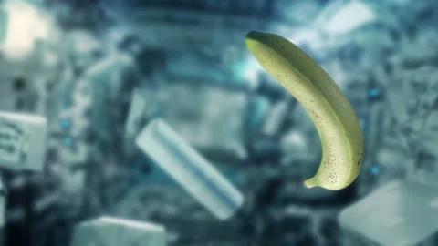 Banana And Objects Floating Inside Space Shuttle Video stock 143169206