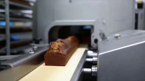 Banana bread production line Stock Footage 74108703