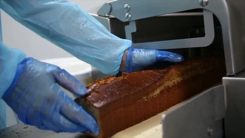 Banana bread production line Stock Footage 74109043