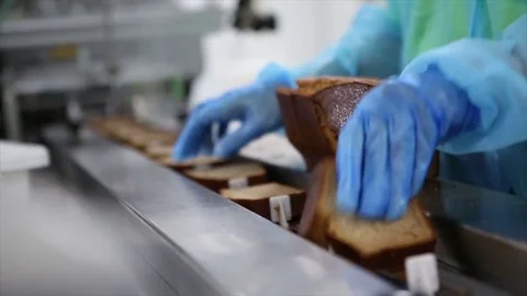 Banana bread production line Stock Footage 74109098