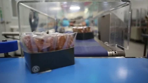 Banana bread production line Stock Footage 74109155