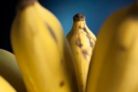 Banana in bunch Stock Photos