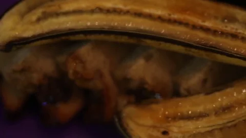 Banana dessert close up Stock Footage 77607925