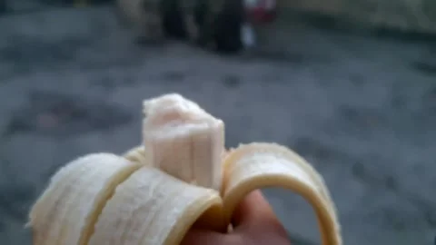 Banana eating Stock Footage 322929206