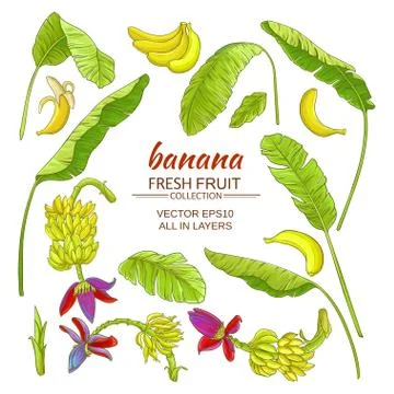 Banana elements set Stock Illustration