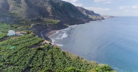 Banana fields, next to the ocean, Tenerife Video stock 119106906