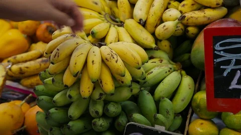 Banana Stock Footage 103031716
