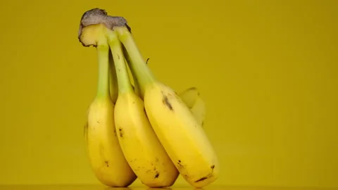 Banana Stock-Footage 141464782
