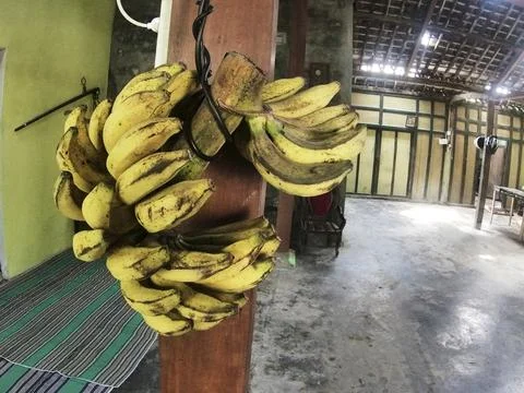 Banana fruit Stock Photos