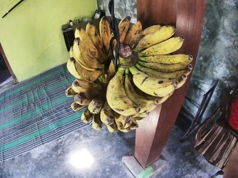 Banana fruit Stock Photos