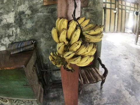 Banana fruit Stock Photos
