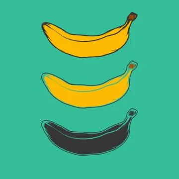 Banana, fruit vector illustration Illustrazione stock