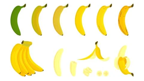 Banana Stock Illustration
