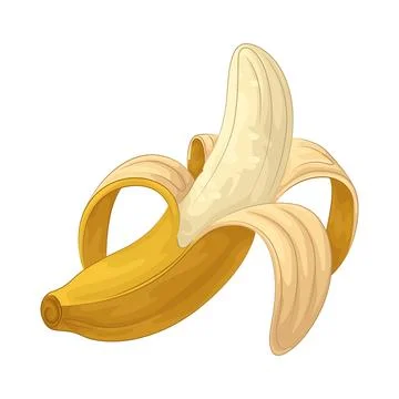 Banana illustration Illustration