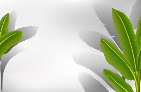 Banana leaf border template Stockillustratie