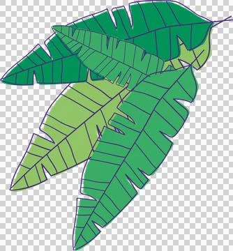 Banana leaf cluster is overlapping in flat design with serrated edges, Stock Illustration