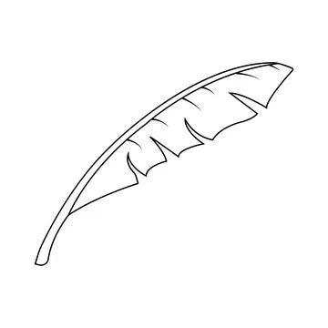 Banana leaf design Stock Illustration