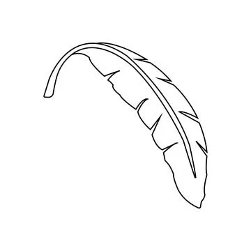 Banana leaf design 스톡 일러스트