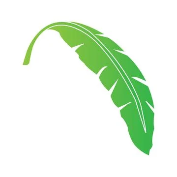 Banana leaf design Stock Illustration