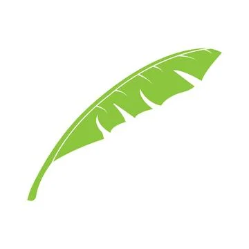 Banana leaf design 스톡 일러스트