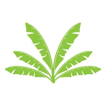 Banana leaf design Stock Illustration