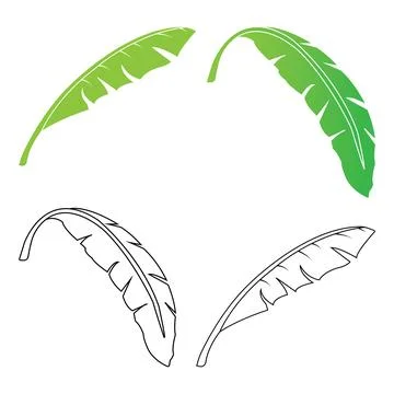 Banana leaf design Stock Illustration