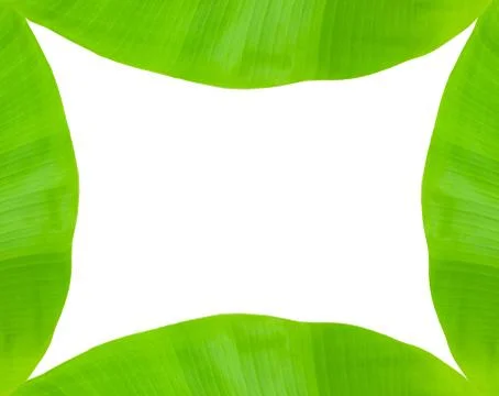 Banana leaf frame Stock Illustration
