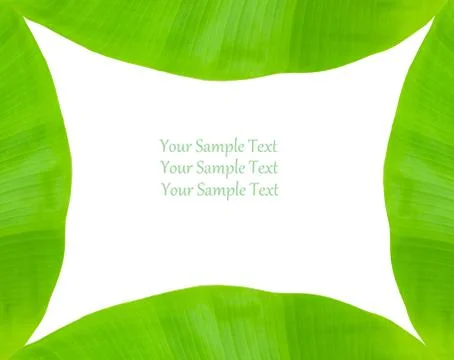 Banana leaf frame Stock Illustration