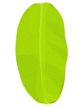Banana Leaf Stock Illustration