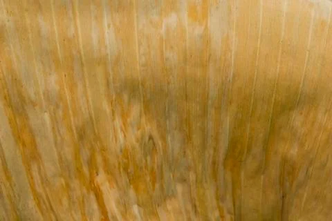 Banana leaf Stock Photos