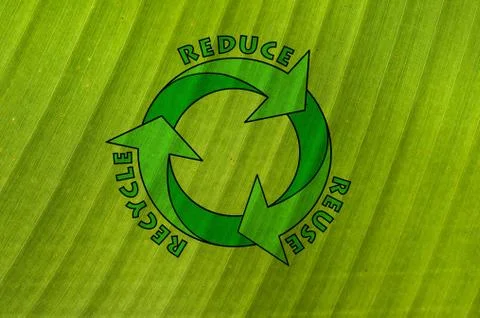 Banana Leaf Foto stock