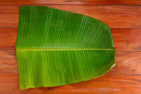Banana leaf Stock Photos