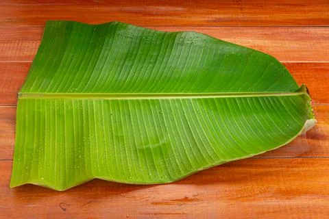 Banana leaf Stock Photos