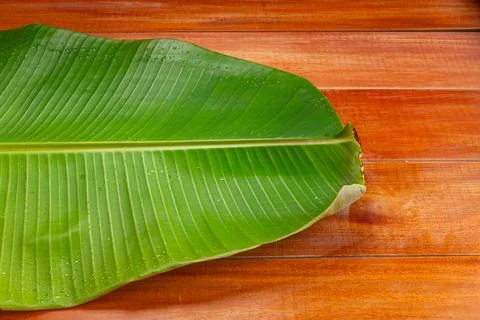 Banana leaf Stock Photos