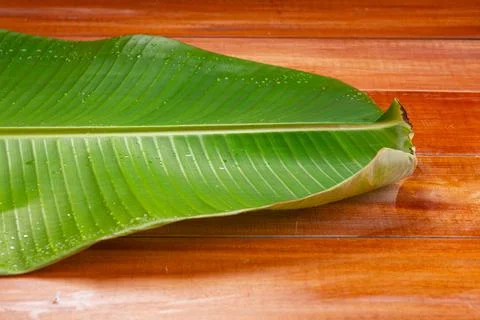 Banana leaf Stock Photos