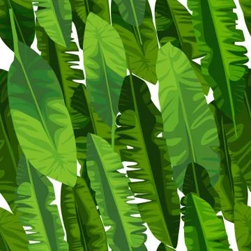 Banana leaf seamless pattern. Abstract exotic plant wallpaper on white backgr Illustrazione stock