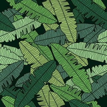 Banana leaf seamless pattern. Abstract exotic plant wallpaper. Stock Illustration