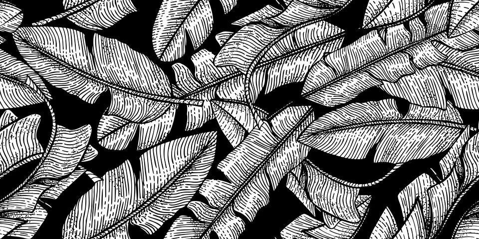 Banana leaf seamless pattern on black background. Retro tropical leaves in en Stock Illustration