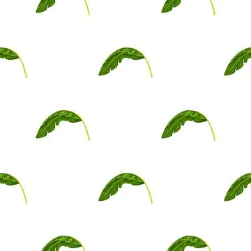 Banana leaf seamless pattern. Tropical background. Stock Illustration
