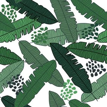 Banana leaf seamless pattern on white background. Jungle plant wallpaper. Stock Illustration