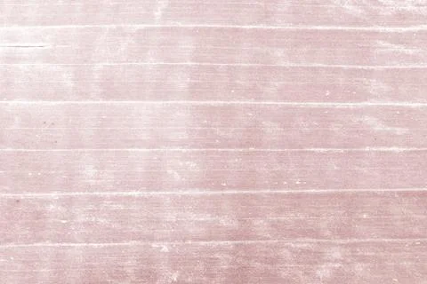 Banana leaf texture background Soft tone Red color Foto stock