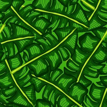 Banana leaf tropical seamless pattern. Jungle leaves background. Illustrazione stock
