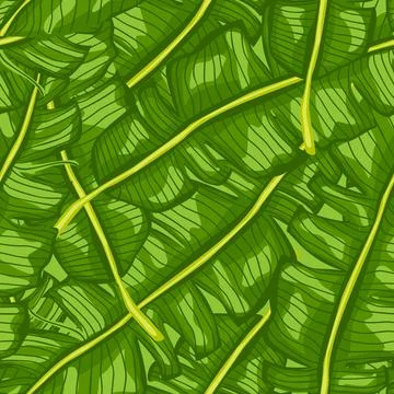 Banana leaf tropical seamless pattern. Jungle leaves background. Rainforest w Stock Illustration