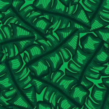 Banana leaf tropical seamless pattern. Jungle leaves background. Stock Illustration