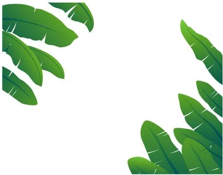 Banana leaf vector picture. Stock Illustration