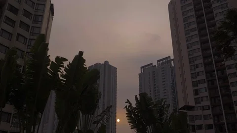 Banana leaves in front of Taman Rasuna Apartement Tower at sunset Jakarta  Stock Footage